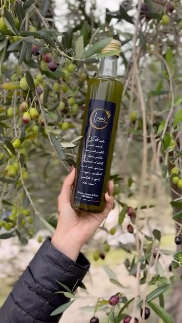Dalla selezione delle olive migliori per il frantoio, al sapore inconfondibile che esalta i tuoi piatti migliori. 
Sullo shop ufficiale di @gustoetradizioneroma puoi acquistare l'olio extravergine d'oliva di @olio_leoni.
Solo altissima qualità, solo 100% Made in Italy: https://www.gustoetradizione.shop/
🫒 @_pamelaleoni_