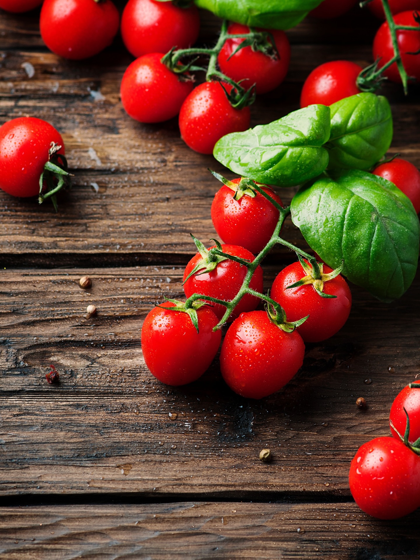 Il pomodoro non è solo un ingrediente. È una tradizione.
È il profumo del sugo che cuoce piano, il colore della cucina italiana, il gusto che mette tutti d’accordo.
Nella nostra selezione trovi solo pomodori italiani di alta qualità:
✔️ passate vellutate
✔️ pelati e spaccatelle ricchi di sapore
✔️ pomodorini dolci e intensi
Perfetti per trasformare ogni ricetta in qualcosa di speciale, anche la più semplice.
👉 Scopri la collezione Pomodori sul nostro shop
🔗 Link: https://www.gustoetradizione.shop/product-category/pomodori/
🚚 Spedizione gratuita sopra i 60€
The tomato is not just an ingredient. It is a tradition.
It’s the aroma of a sauce slowly simmering, the color of Italian cuisine, the flavor that brings everyone together.
In our selection, you’ll find only high-quality Italian tomatoes:
✔️ smooth, velvety passatas
✔️ flavorful peeled tomatoes and spaccatelle
✔️ sweet and intense cherry tomatoes
Perfect for turning every recipe into something special, even the simplest one.
👉 Discover our Tomato Collection on our shop
🔗 Link: https://www.gustoetradizione.shop/product-category/pomodori/
🚚 Free shipping on orders over €60
#GustoETradizione #PomodoroItaliano #CucinaItaliana #SaporiAutentici
#MadeInItaly TradizioneItaliana SugoFattoBene FoodLovers DispensaItaliana